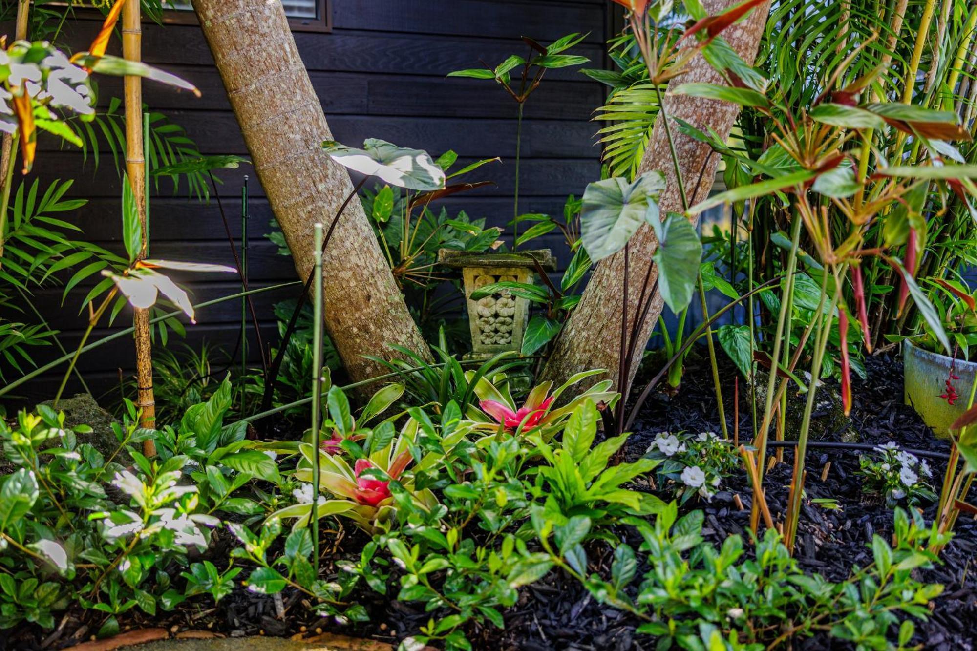 Harbour View Cottage Bay Of Islands Opua Exterior foto